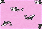 粉紅海洋中的小鯊魚